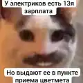 17773771446651.png