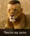 17773771446692.png