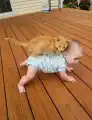 17773938286004.png