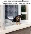 17776375105209.png