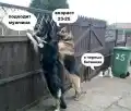 17776375105223.png