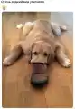 17776375105228.png
