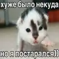 17776375105249.png