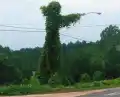 17776394149006.png