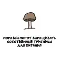 17780013219377.png