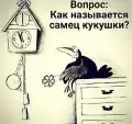 17787741625936.png