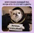 17788630253661.png
