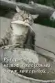 17789455905419.png