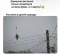 17789487015095.png