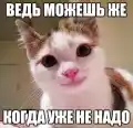 17789487015117.png