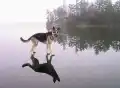 17789526405708.png