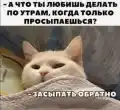 17789526405742.png