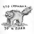 17789539644257.png