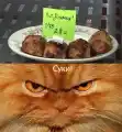 17791257446950.png