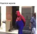 17793875677516.png