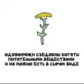 17799726983168.png