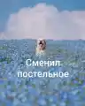 17799729651941.png