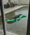 17802503197677.png