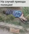 17803093773151.png
