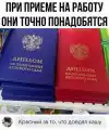 17803973387063.png