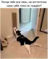 17804184889293.png