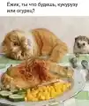 17807440020456.png