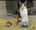 17807440020472.png