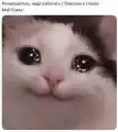 17807453660932.png