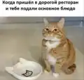 17808557937302.png