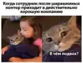 17808567665166.png