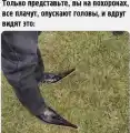 17808567665189.png