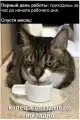17809251309682.png
