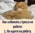 17809251309690.png
