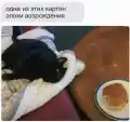 17809415907326.png