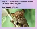 17809436476163.png