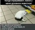 17809436476169.png