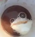 17809436476186.png