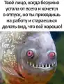 17810102556190.png