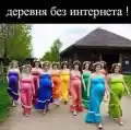 17811683852753.png