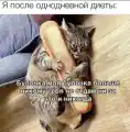 17812630096864.png