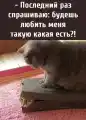 17813379263399.png