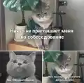 17813379263404.png