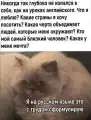 17816828185382.png