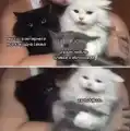 17818047490414.png