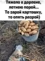 17822411837639.png