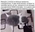 17823024433496.png