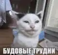17823036650358.png