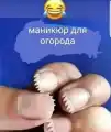 17823040714037.png