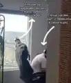 17827226196215.png