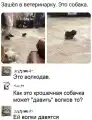 17827242012749.png